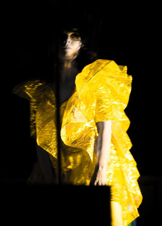 Bjork, Yellow Dress, 2008 - Morrison Hotel Gallery