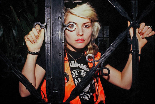 Debbie Harry, Blondie - Morrison Hotel Gallery