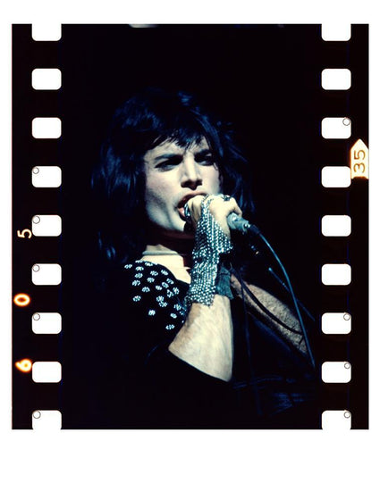 Freddie Mercury, Queen - Morrison Hotel Gallery