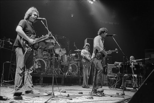 Grateful Dead, Madison Square Garden, NYC - Morrison Hotel Gallery