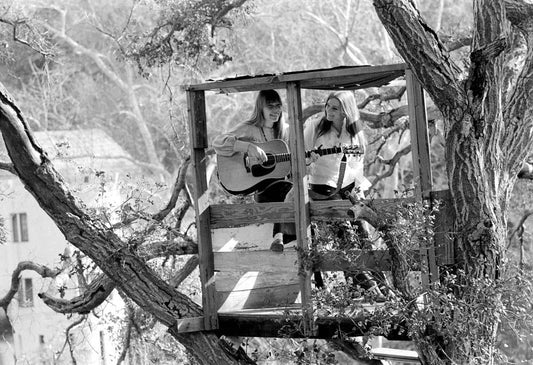 Judy Collins and Joni Mitchell - Morrison Hotel Gallery