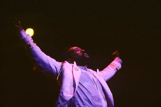 Marvin Gaye, 1983 #3 - Morrison Hotel Gallery