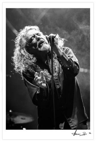 Robert Plant, Mexico City, 2016 - Morrison Hotel Gallery