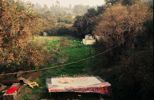 The Farm, Los Angeles, CA, 1969 - Morrison Hotel Gallery